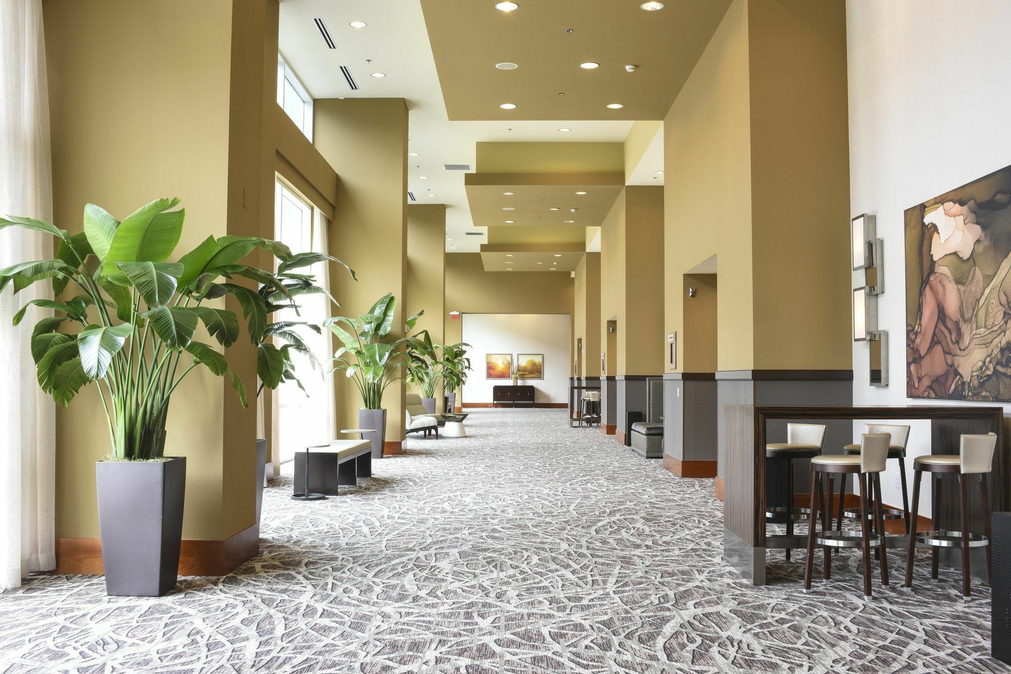 Hotel Raleigh Marriott City Center Extérieur photo